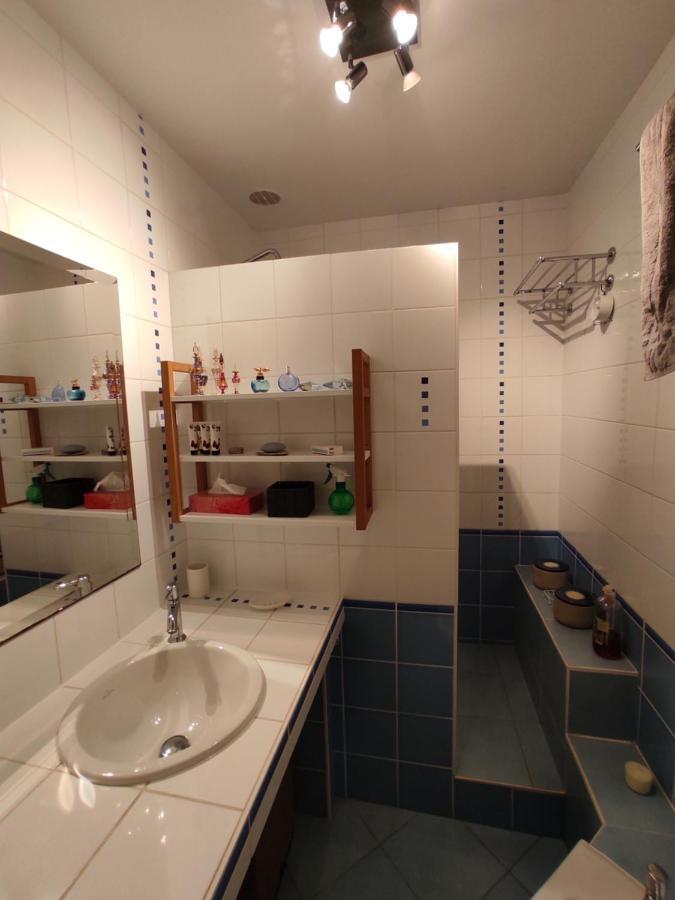 סן ז'אן Appartement Calme Proche Toulouse מראה חיצוני תמונה